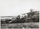 Två män bevittnar explosion på en kulle, rök stiger upp från marken. I bakgrunden syns hav och himmel.