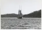 Segelbåt med två master glider över havet. I bakgrunden syns land.