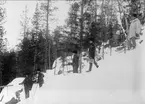 Signal, linjebyggnad vintertid, år 1905.