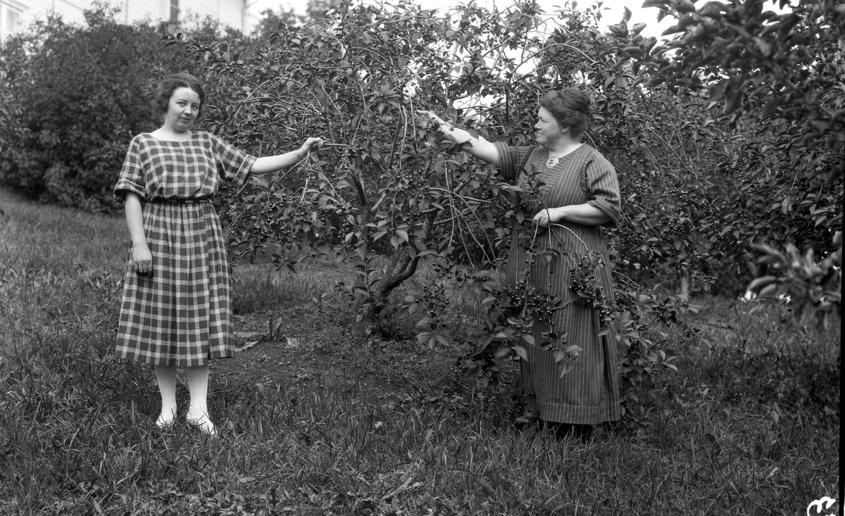 Fire bilder av to kvinner. Bakerst på bilde nr. 1 trolig Nelly Hveem, den andre (sittende) er Ruth Oulie som senere ble gift med Johannes Hveem.