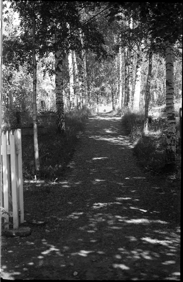 Fem bilder fra Hoff Kirkegård sommeren 1942.