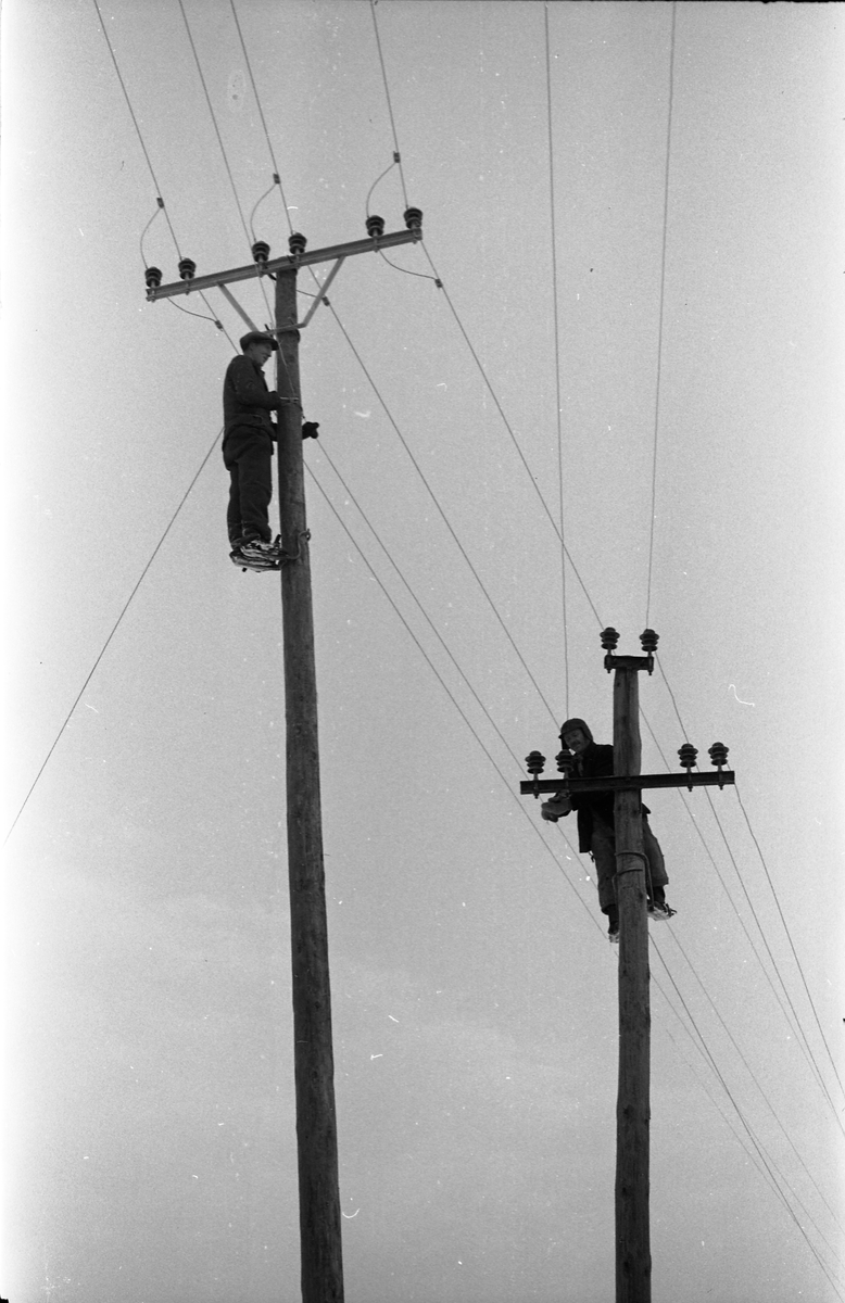 Lysslinje under etablering eller utbedring vest for Kapphøgdavegen ved Lillo i Østre Toten høsten 1944. Serie på 8 bilder. På bilde nr. 1 ser en nærmest og til høyre eiendommen Solberg (mørkt hus), og det lyse huset litt bakenfor er Moe. Til venstre i bildet, oppunder skogkanten, skimtes Sigstad.