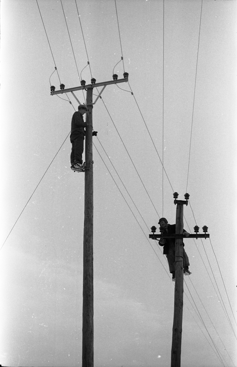 Lysslinje under etablering eller utbedring vest for Kapphøgdavegen ved Lillo i Østre Toten høsten 1944. Serie på 8 bilder. På bilde nr. 1 ser en nærmest og til høyre eiendommen Solberg (mørkt hus), og det lyse huset litt bakenfor er Moe. Til venstre i bildet, oppunder skogkanten, skimtes Sigstad.