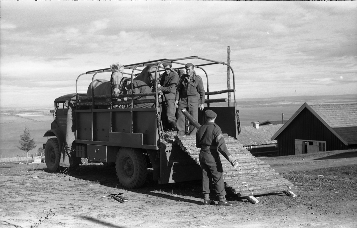 Opplasting av hester på lastebil ved Hærens Hesteskole på Starum september 1948. Serie på 24 bilder. Lengst til venstre på bilde nr. 1 står daværende sersjant Ottar Markeng.
Bildene nr. 1-4 og 17-24 er trolig fra Hoffsvangen, de øvrige fra Starum Leir.
Iflg. informant ble bilder av denne typen brukt til å lage instruksjonshefter/lærebøker til bruk for Hærens hestetjeneste. Se også TMF-4844 og TMF-4864.
