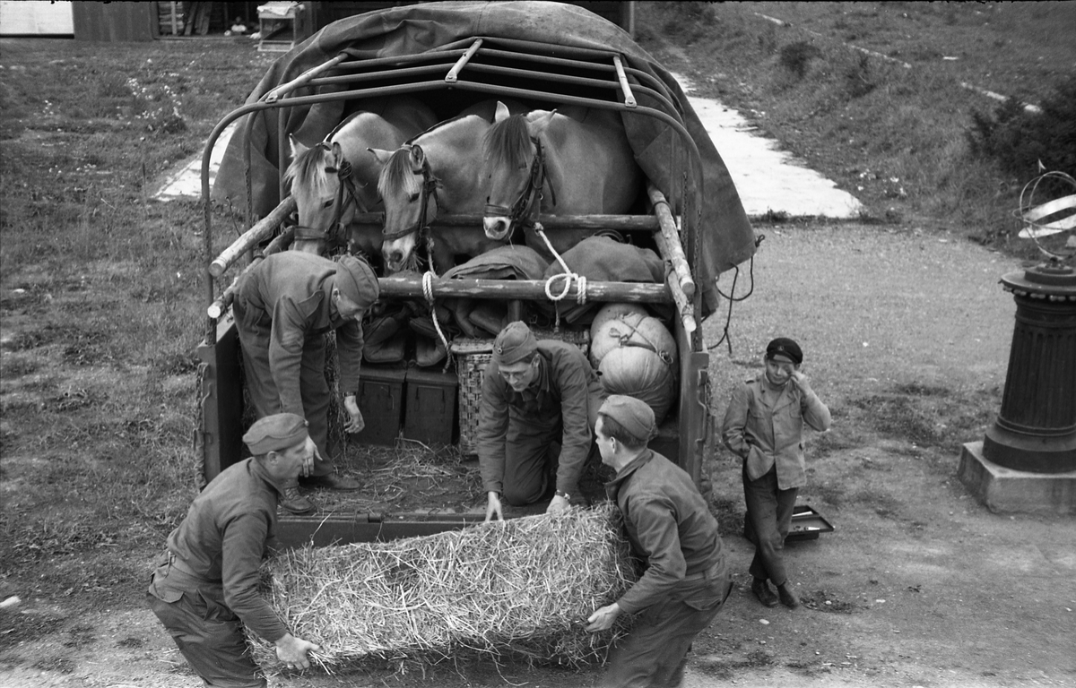 Opplasting av hester på lastebil ved Hærens Hesteskole på Starum september 1948. Serie på 24 bilder. Lengst til venstre på bilde nr. 1 står daværende sersjant Ottar Markeng.
Bildene nr. 1-4 og 17-24 er trolig fra Hoffsvangen, de øvrige fra Starum Leir.
Iflg. informant ble bilder av denne typen brukt til å lage instruksjonshefter/lærebøker til bruk for Hærens hestetjeneste. Se også TMF-4844 og TMF-4864.