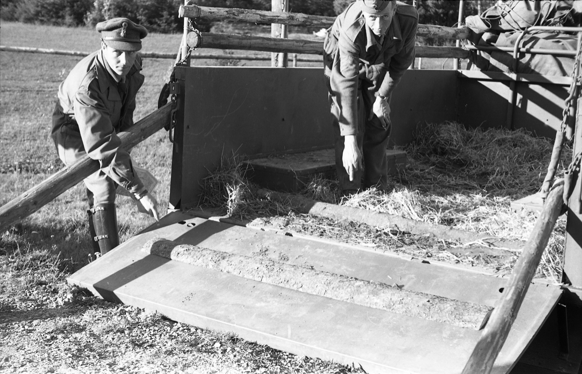 Transport av hest med lastebil ved Hærens Hesteskole på Starum, september/oktober 1948. Serie på 17 bilder. På bilde nr. 4 står fra venstre: Kaptein Sverre Norli, trolig major Bjart Ording (plasskomandant), og sersjant Ottar Markeng.
Iflg. informant ble bilder av denne typen brukt til å lage instruksjonshefter/lærebøker til bruk for Hærens hestetjeneste. Se også TMF-4838 og TMF-4864.