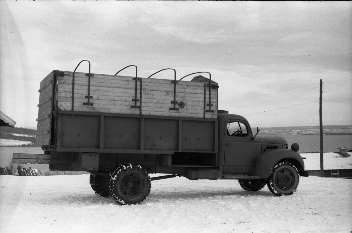 Hestetransport med lastebil ved Hærens Hesteskole på Starum oktober 1948. Serie på 18 bilder.
Iflg. informant ble bilder av denne typen brukt til å lage instruksjonshefter/lærebøker til bruk for Hærens hestetjeneste. Se også TMF-4844 og TMF-4864.