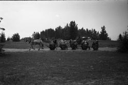 Fem bilder fra sankthansfeiring på Starum 1950.