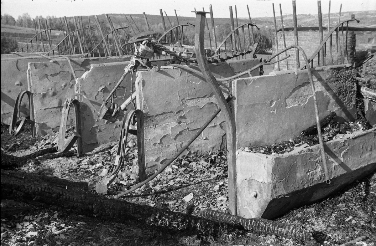 Branntomt etter låve- og stabbursbrann på Helgestad Store Vestre i Totenvika 29.september 1950. Totens Blad skrev at "En del avling, redskaper og 10 grisunger strøk også med". Serie på 14 bilder.