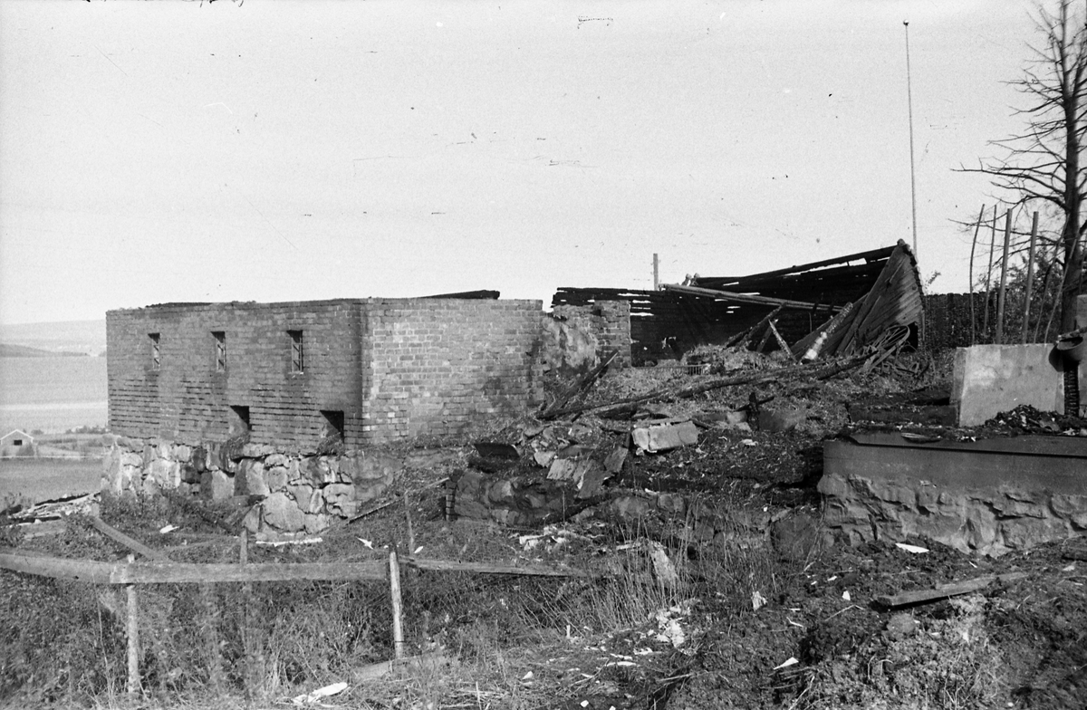 Branntomt etter låve- og stabbursbrann på Helgestad Store Vestre i Totenvika 29.september 1950. Totens Blad skrev at "En del avling, redskaper og 10 grisunger strøk også med". Serie på 14 bilder.