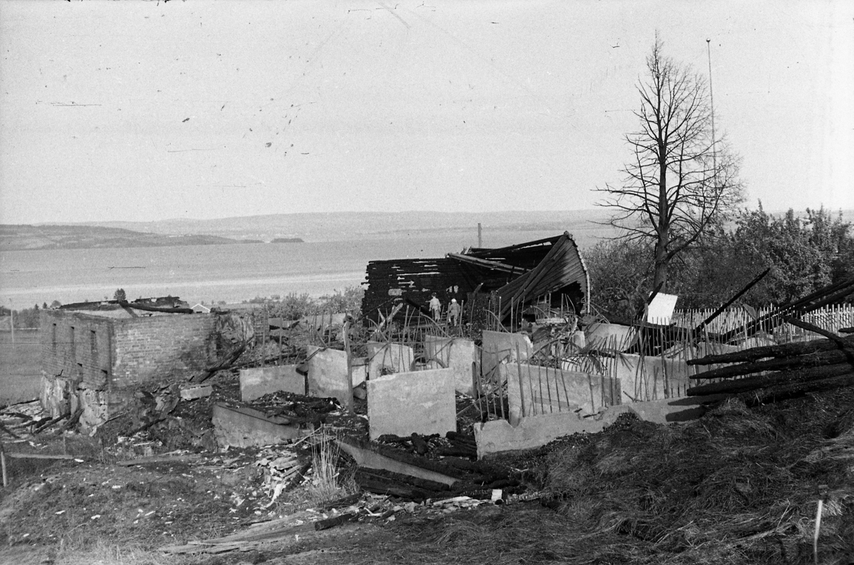 Branntomt etter låve- og stabbursbrann på Helgestad Store Vestre i Totenvika 29.september 1950. Totens Blad skrev at "En del avling, redskaper og 10 grisunger strøk også med". Serie på 14 bilder.