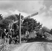 Rover Moot - internationellt scoutläger i Tiveden, 1965. Endast neg finns.