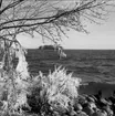 Isformationer vid Vätterns strand utmed Strandvägen, Karlsborg, mars 1961. Endast neg finns.