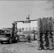 Exteriörbild, Forsviks skogar, 1968. Endast neg finns.