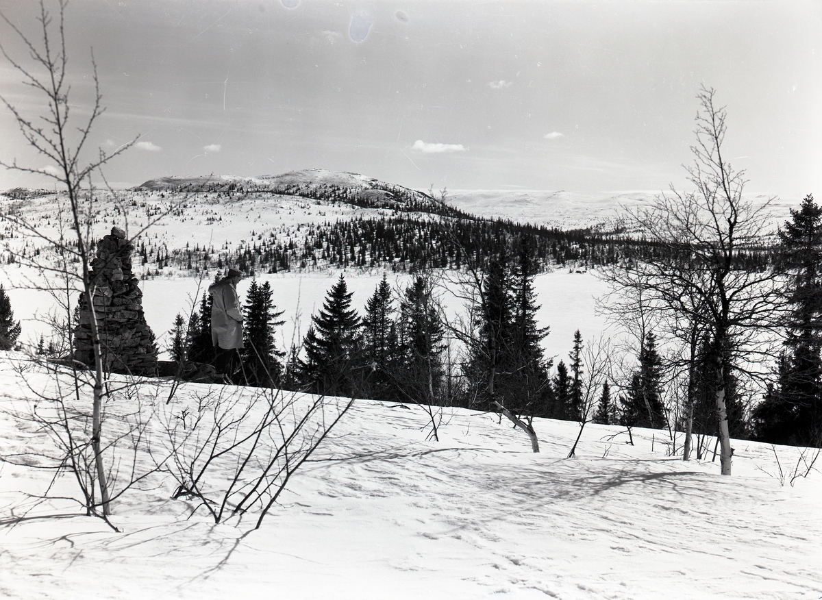 Sørbekkseter Fjellstue