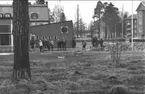 Karlsborg, Södra Skogens skola, 1966. Endast neg finns.