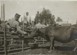 Kulsprutekurs på Rommehed.