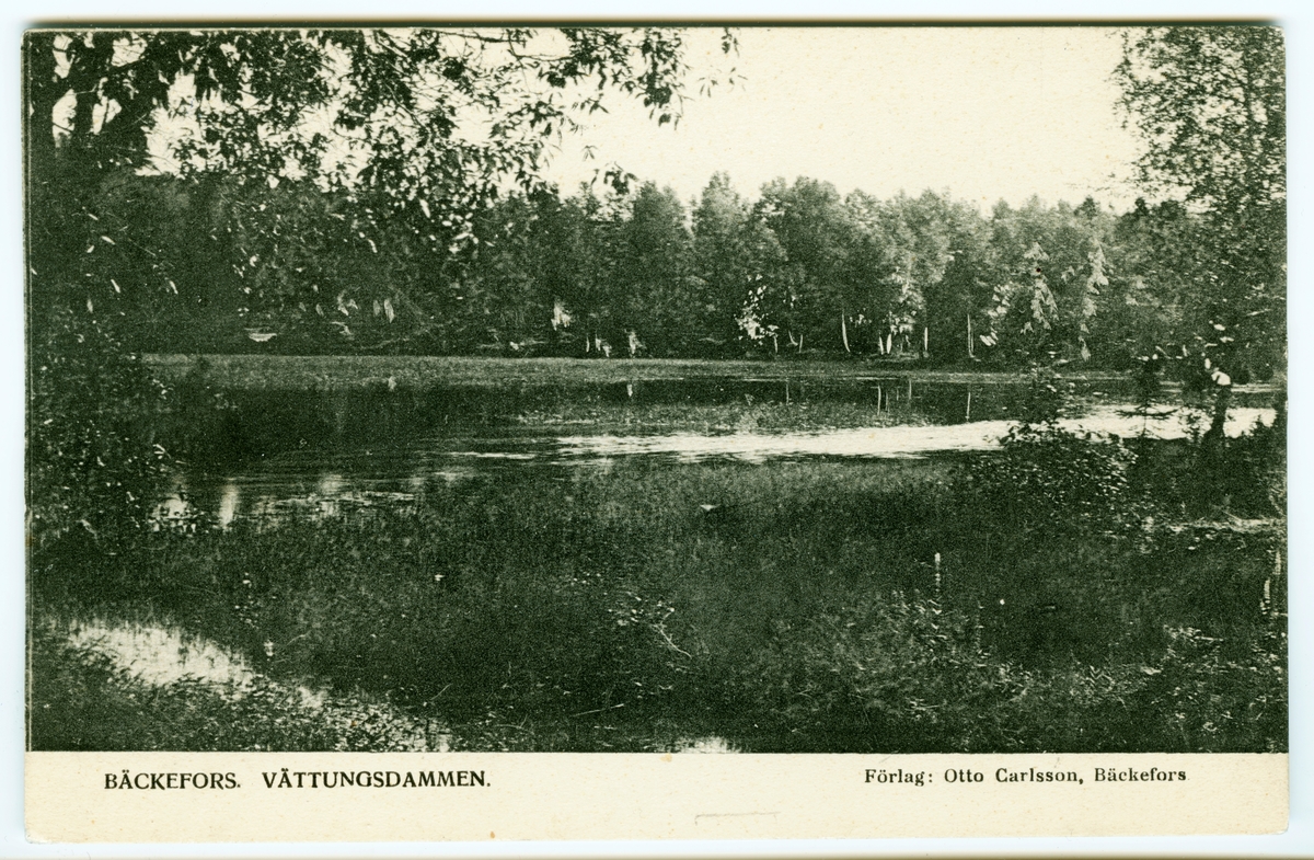 Bäckefors Vättungsdammen