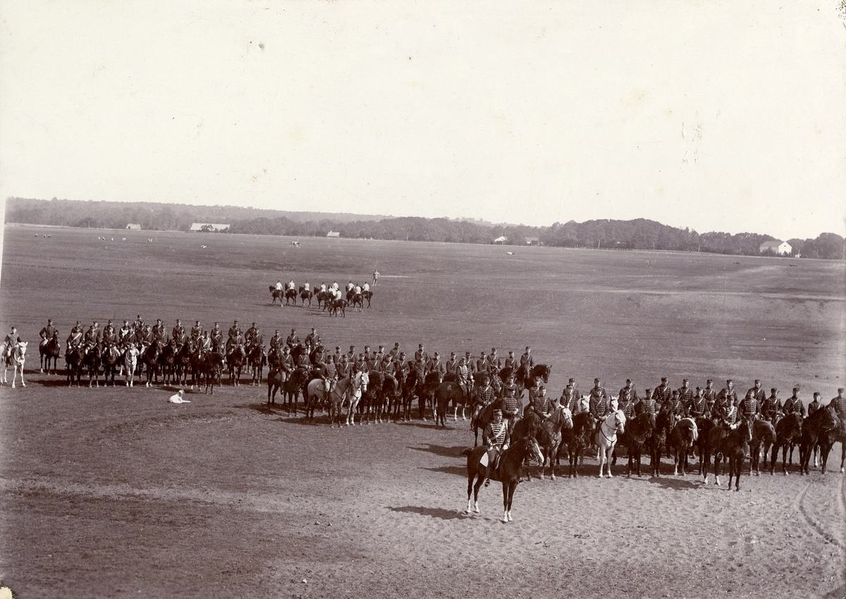 Skånska husarregmentet K 5 uppställt till häst på Ljungbyhed, 1895.