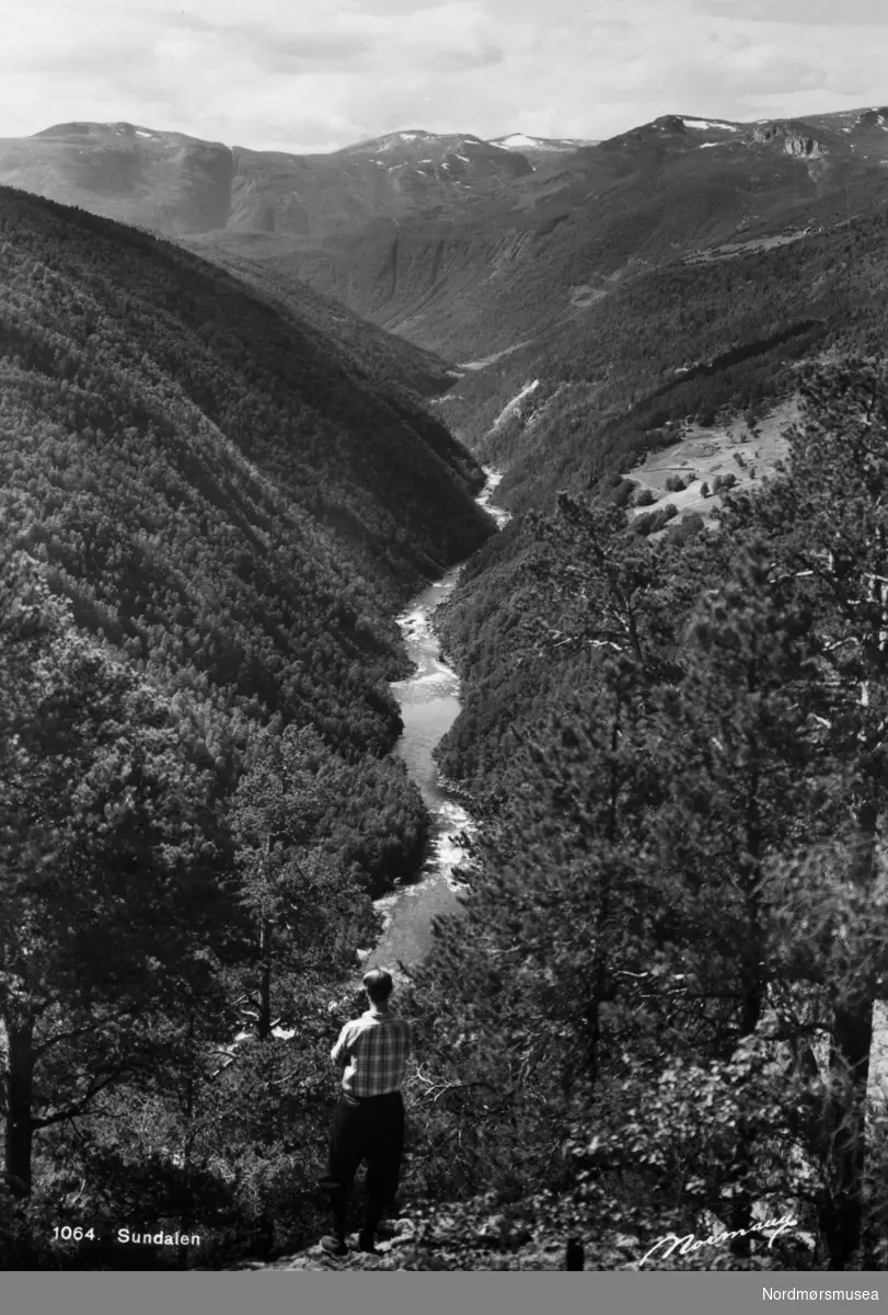 Sunndalen med elva Driva. postkort Normann. Arkivskaper er trolig Erling Dall-Larsen, mens giver av samlingen er Liv Dall Johnsen. Fra Nordmøre museums fotosamlinger.