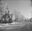 Vinterbild från Karlsborg, januari 1963. Endast neg finns.