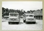 Bilden föreställer två skolbussar framifrån. I bakgrunden syns viss bebyggelse samt växtlighet med palmer. Bilden är tagen under minfartyget Älvsnabbens långresa 1966-1967.