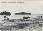 Karlsborg i början av 1900-talet.Strandparti av sjön Unden, Nylandsdahl.