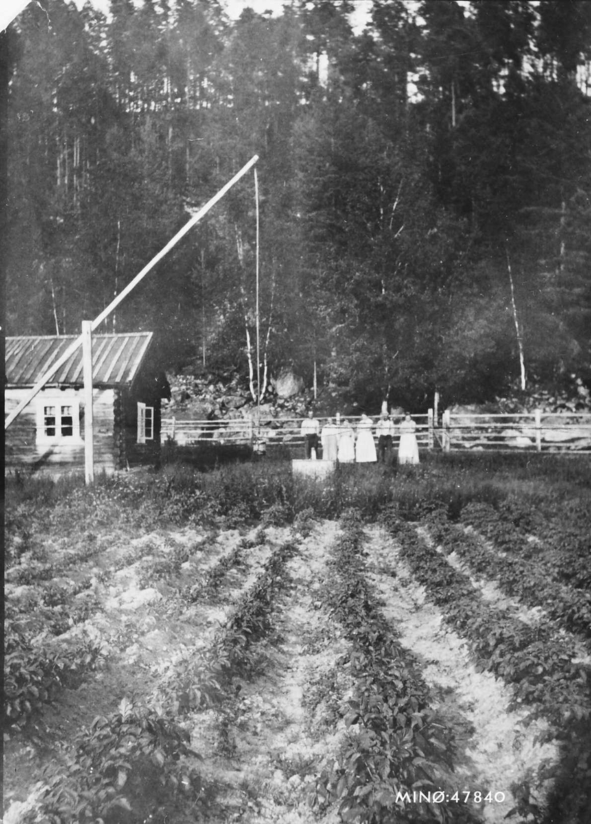 Den gamle stua og brønnsvinna i Viholmen. 