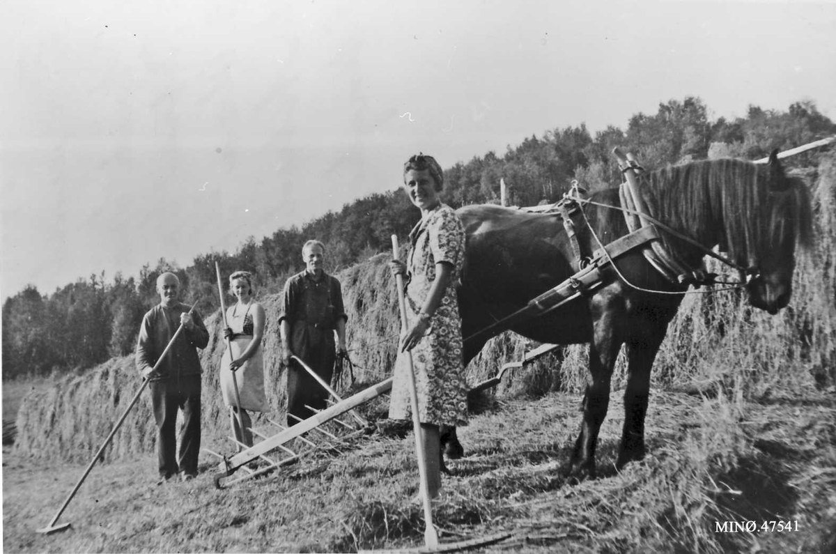 Vinnfolk. Fra v. : Erik Grue, Petra Grue, Olav Grue, Astri Sveen og unghoppa "Paula". 