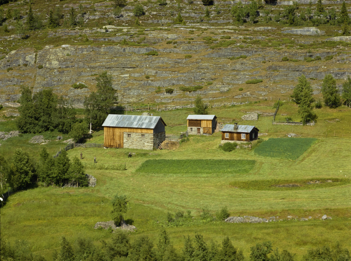 Sør-Fron. Nevnt som Holsbrekken. Brunt, lavt våningshus, lysebrun driftbygning med del av murt stein og et uthus, alle med bølgeblikktak. Engmark i forgrunnen, noe slått og med en hesje. Utmark ovenfor.