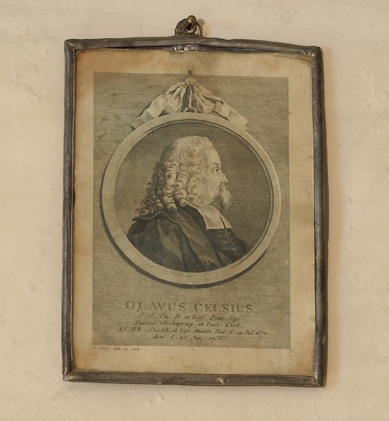 Celsius Olaus