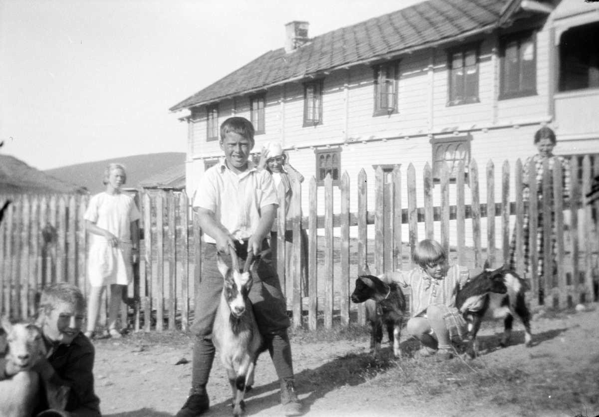 Valseter hotel. Mennesker og geiter.