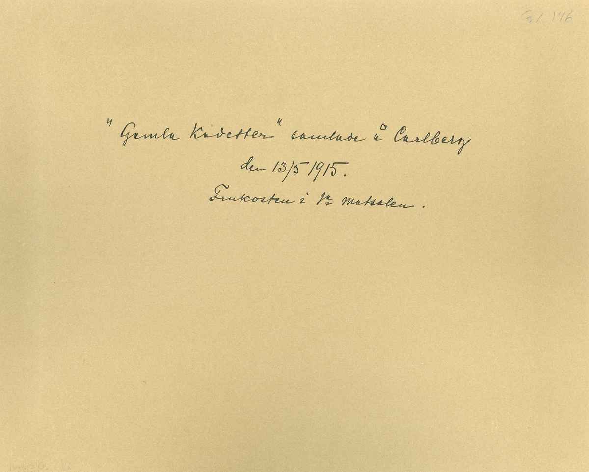 "Gamla kadetter" samlade på Karlberg den 13 maj 1915.