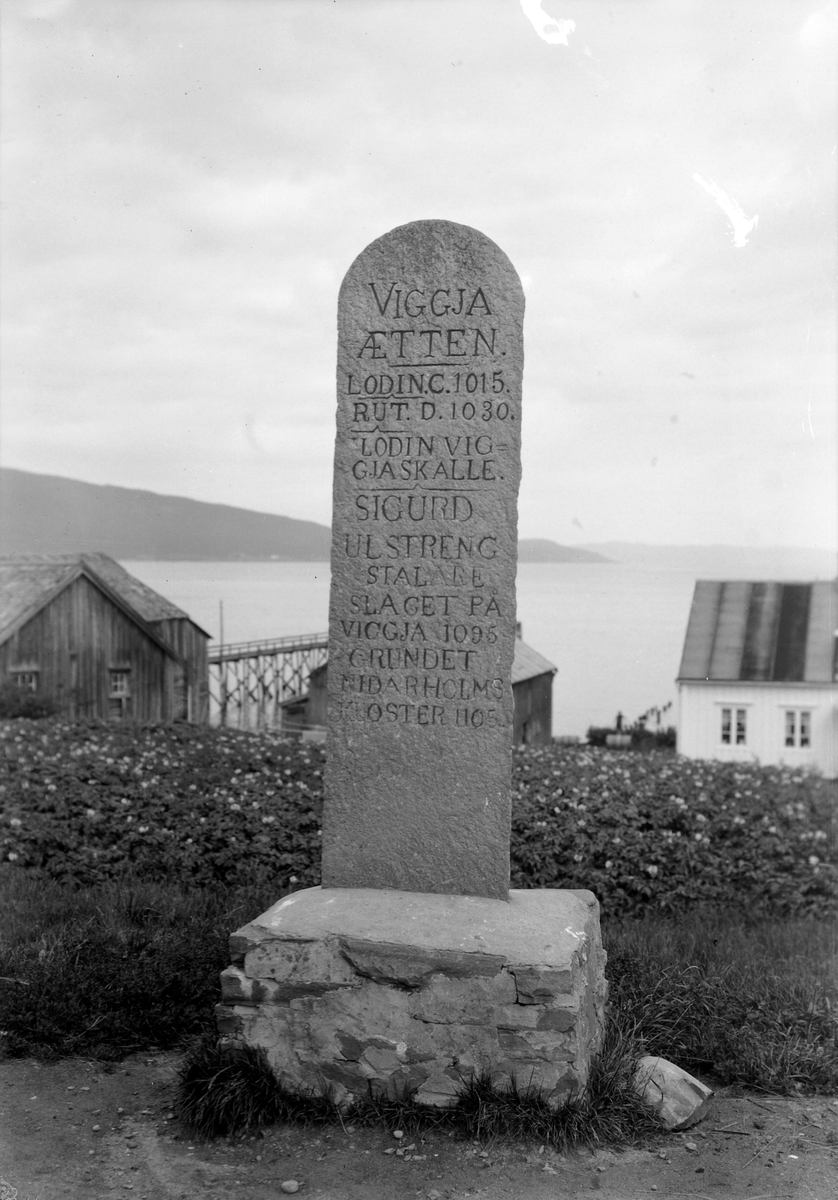 Bauta over Viggja-ætten