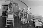 Proviantmagasinet (by 507) IFV. Tillverkning av vakuumtorkade soppor. Här arbetade ordinarie arbetsledare med tillfälligt anställda kvinnor.
