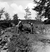 Trollhättan. Slottsön