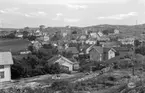 Motiv från Bohuslän ur bildsamlingen efter fotograf Carl Alfred Träff.