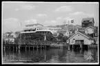 Motiv från Bohuslän ur bildsamlingen efter fotograf Carl Alfred Träff.