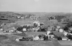 Motiv från Bohuslän ur bildsamlingen efter fotograf Carl Alfred Träff.