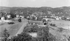 Motiv från Bohuslän ur bildsamlingen efter fotograf Carl Alfred Träff.