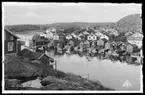 Motiv från Bohuslän ur bildsamlingen efter fotograf Carl Alfred Träff.