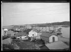 Motiv från Bohuslän ur bildsamlingen efter fotograf Carl Alfred Träff.