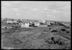 Motiv från Bohuslän ur bildsamlingen efter fotograf Carl Alfred Träff.