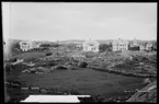 Motiv från Bohuslän ur bildsamlingen efter fotograf Carl Alfred Träff.