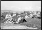 Motiv från Bohuslän ur bildsamlingen efter fotograf Carl Alfred Träff.