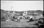 Motiv från Bohuslän ur bildsamlingen efter fotograf Carl Alfred Träff.