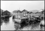 Motiv från Bohuslän ur bildsamlingen efter fotograf Carl Alfred Träff.