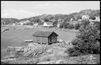 Motiv från Bohuslän ur bildsamlingen efter fotograf Carl Alfred Träff.