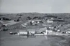 Motiv från Bohuslän ur bildsamlingen efter fotograf Carl Alfred Träff.