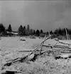 Samövningar med F 1 i Västerås och arméfälttjänstövningar i Gästrikland sept-okt 1936.  I. Lv batt i ställning vid Berga Fäbod i Gästrikland. Fotot är en gåva av Tage Södergren.